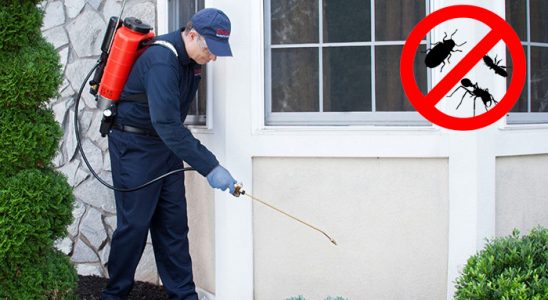 Armutlu Kene İlaçlama böcek ilaçlama ve haşere kontrolü — ilaclama-tr.com